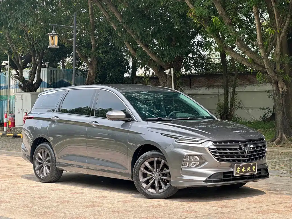 Wuling Victory — миниатюра 3