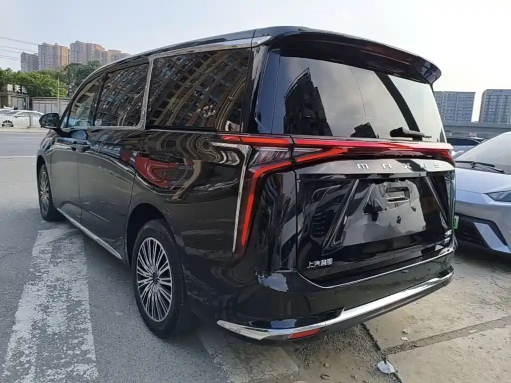 Maxus Dajia 9 — миниатюра 5