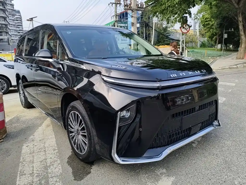 Maxus Dajia 9 — миниатюра 4
