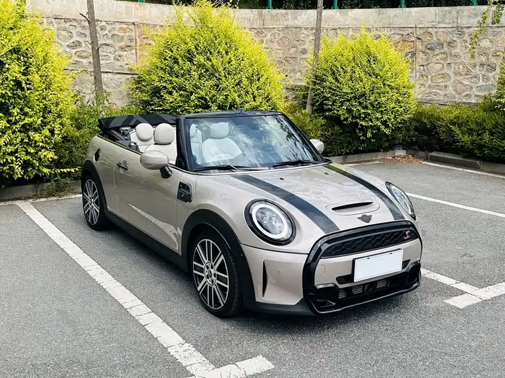MINI Mini — миниатюра 23