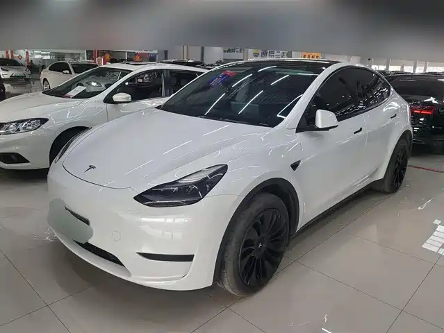 TESLA MODEL Y 2024