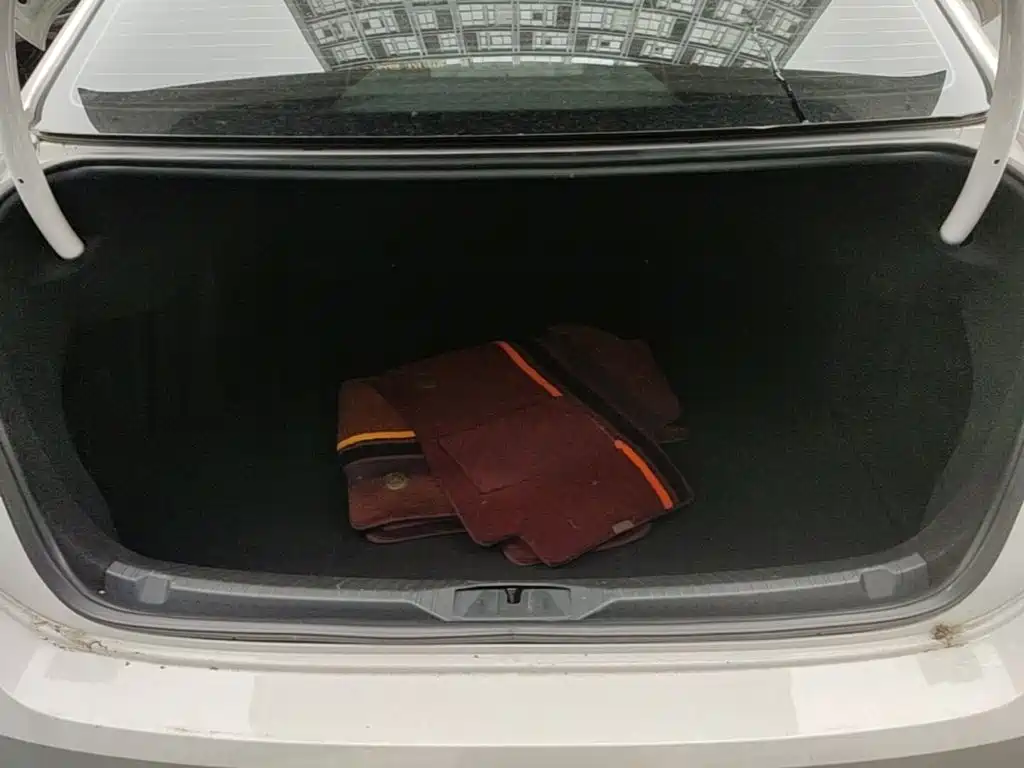 Volkswagen Lamando — миниатюра 19