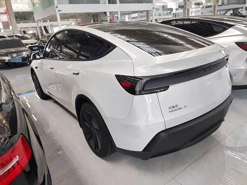 Tesla Model Y — миниатюра 5