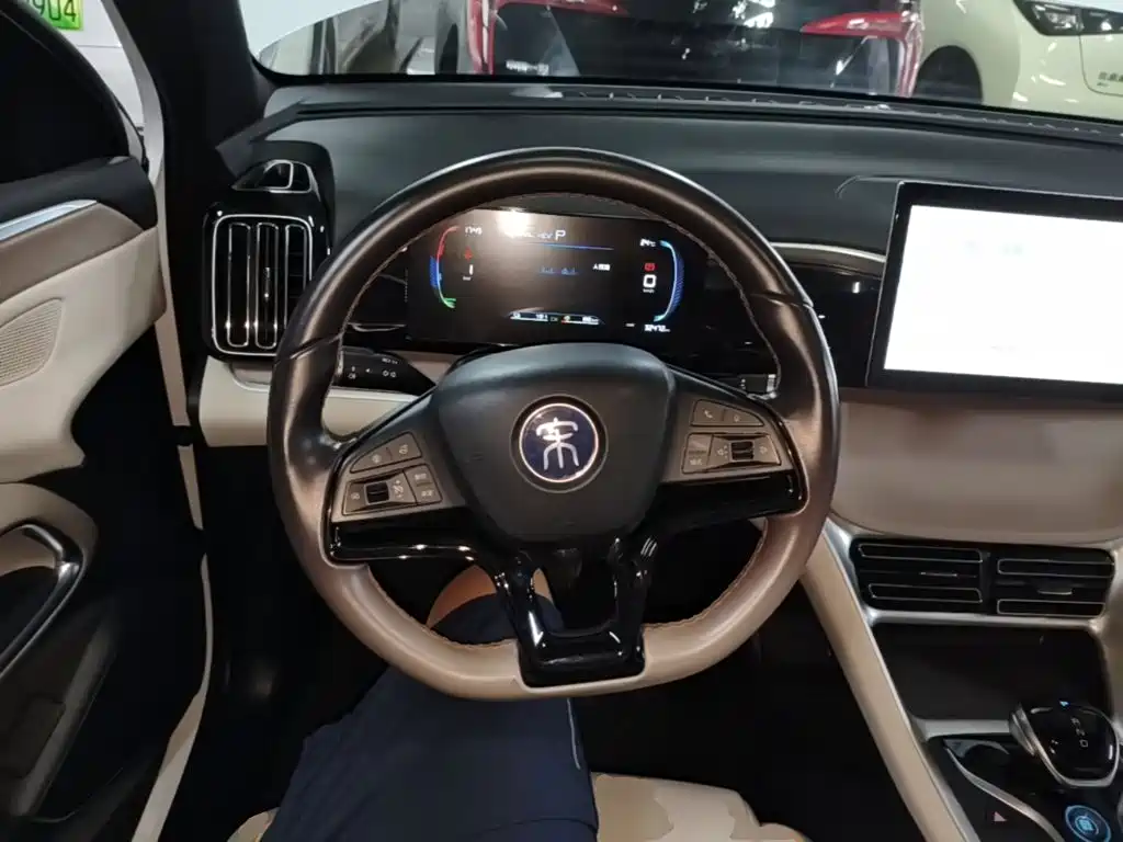 BYD Pro New Energy — миниатюра 11