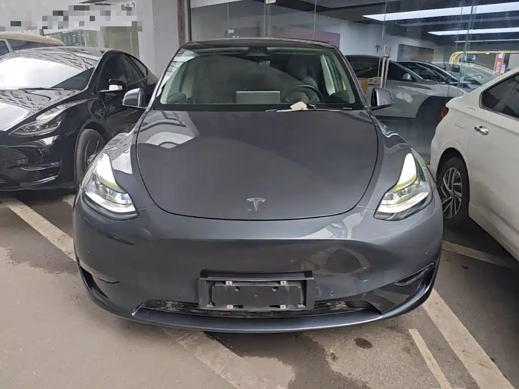 Tesla Model Y — миниатюра 3