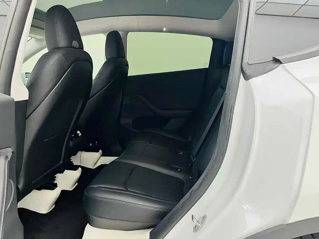 Tesla Model Y — миниатюра 9