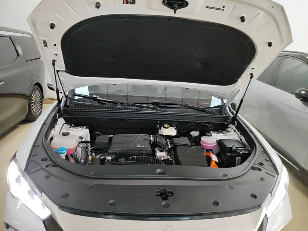 BYD Pro New Energy — миниатюра 20
