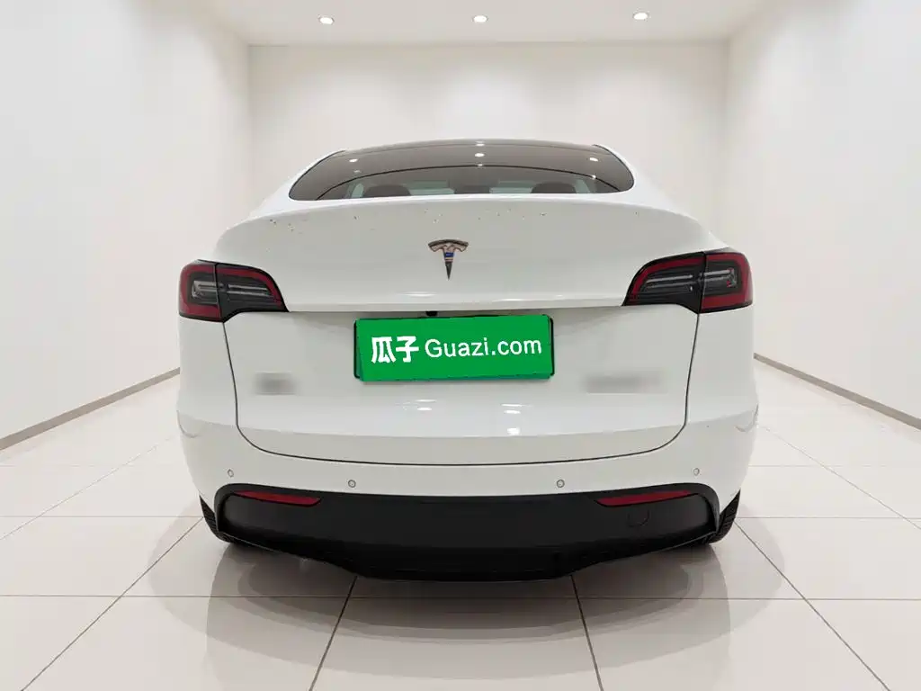 Tesla Model Y — миниатюра 5