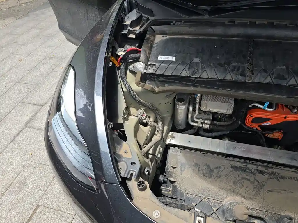 Tesla Model Y — миниатюра 20