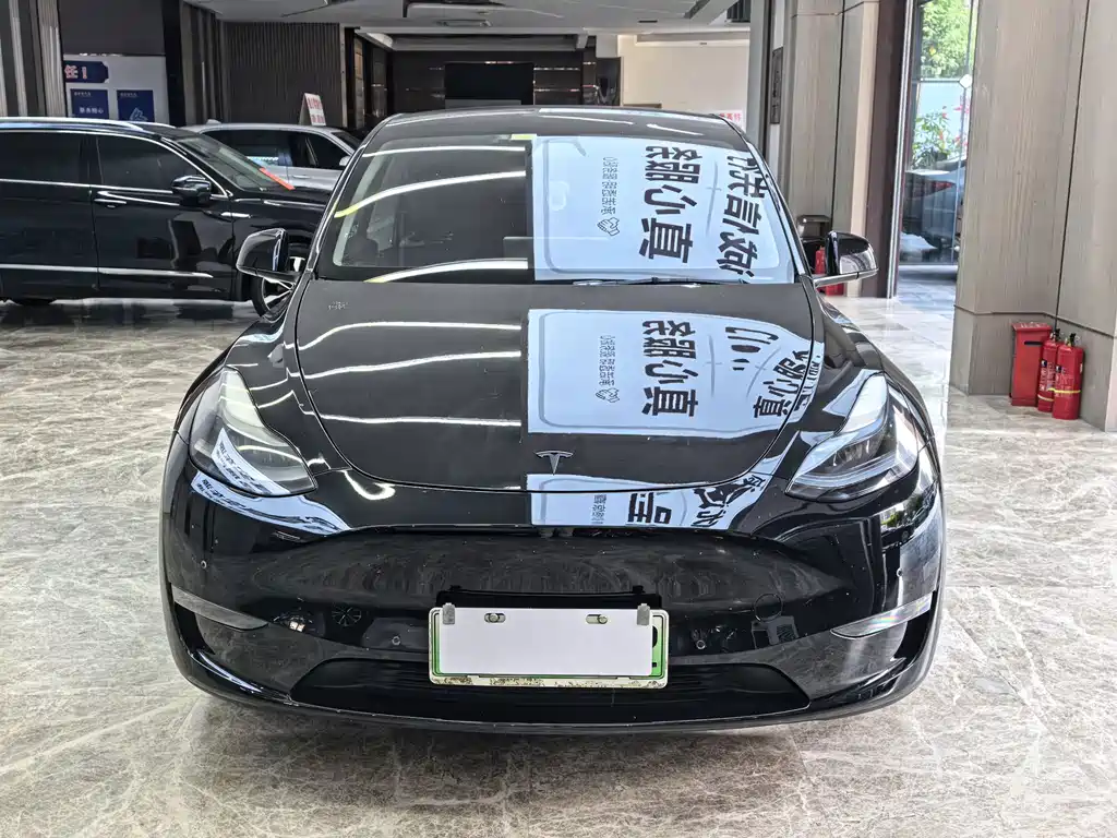 Tesla Model Y — миниатюра 2