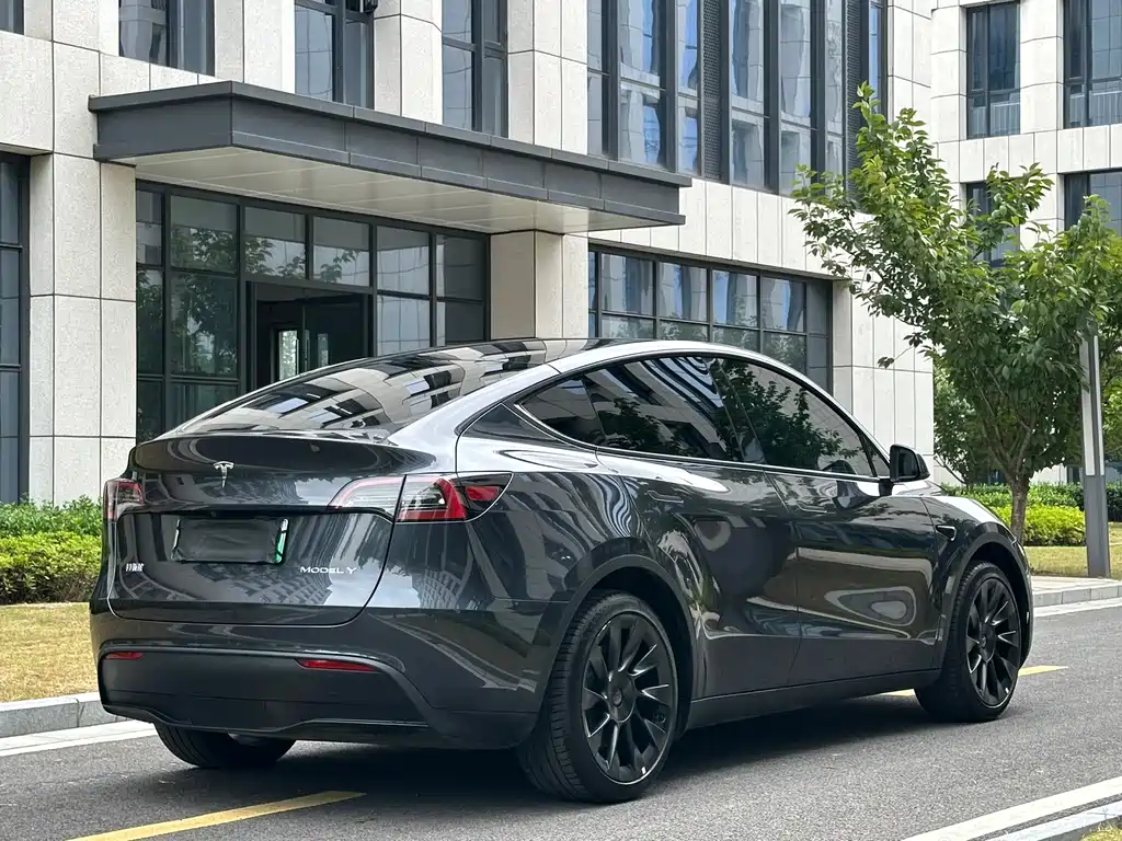 Tesla Model Y — миниатюра 30
