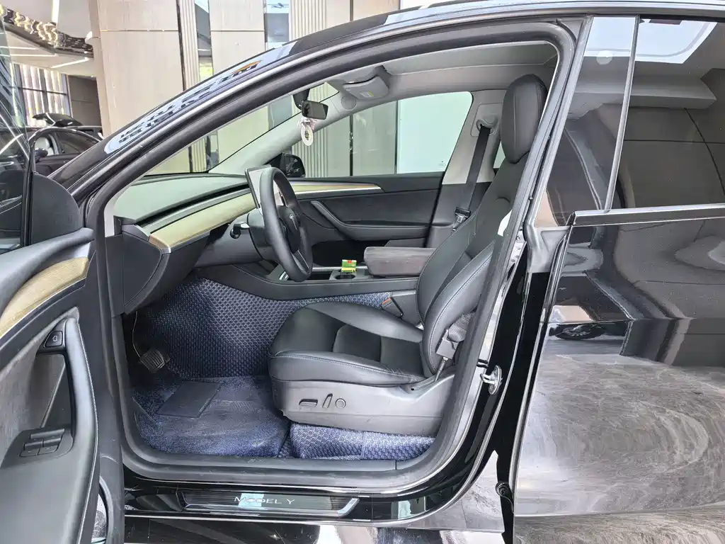 Tesla Model Y — миниатюра 10