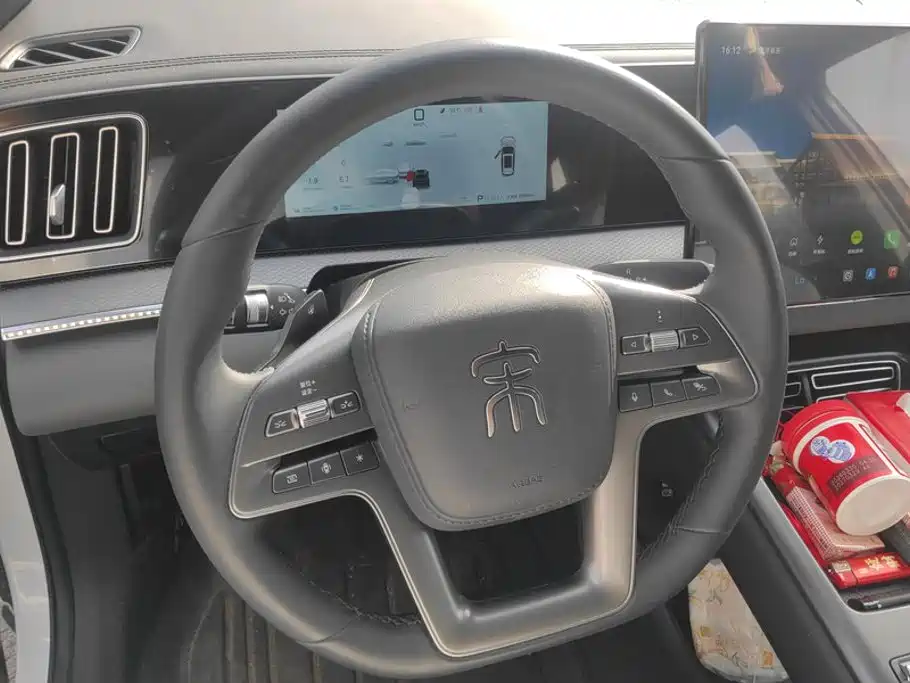 BYD Pro New Energy — миниатюра 15