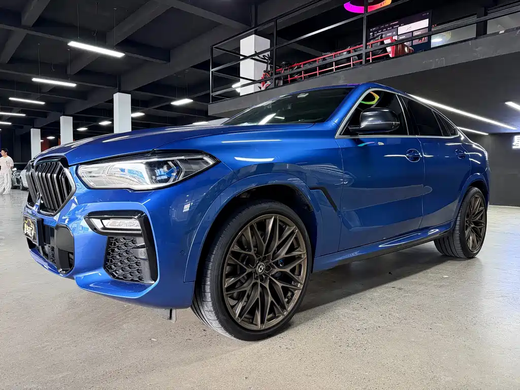 BMW X6