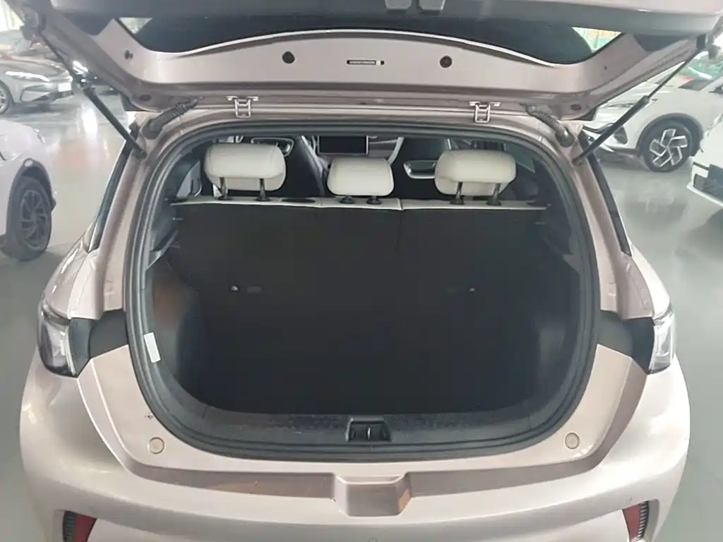 BYD Dolphin — миниатюра 19