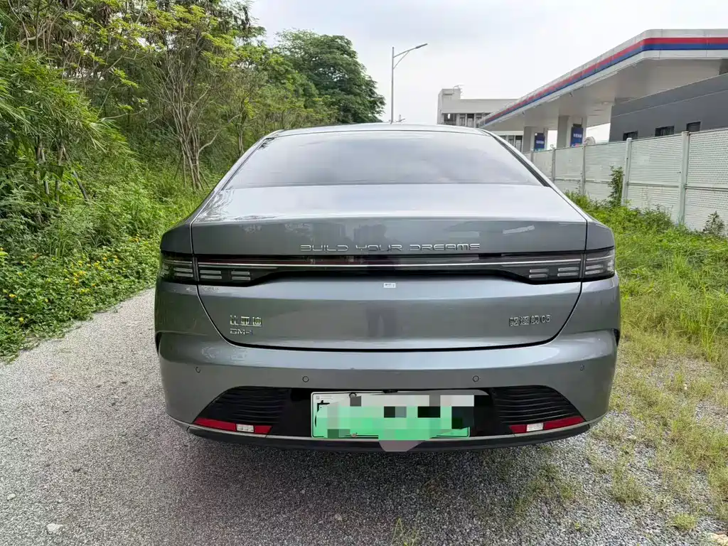 BYD Destroyer 05 2024 DM-i 55KM Luxury