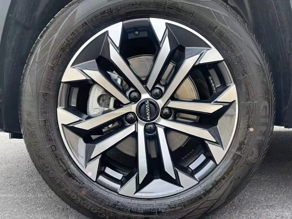 Haval Big Dog PLUS — миниатюра 16