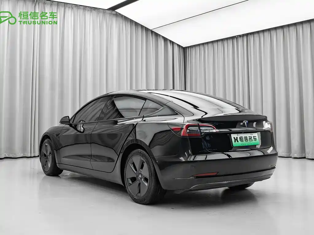 Tesla Model 3 2021 3D6