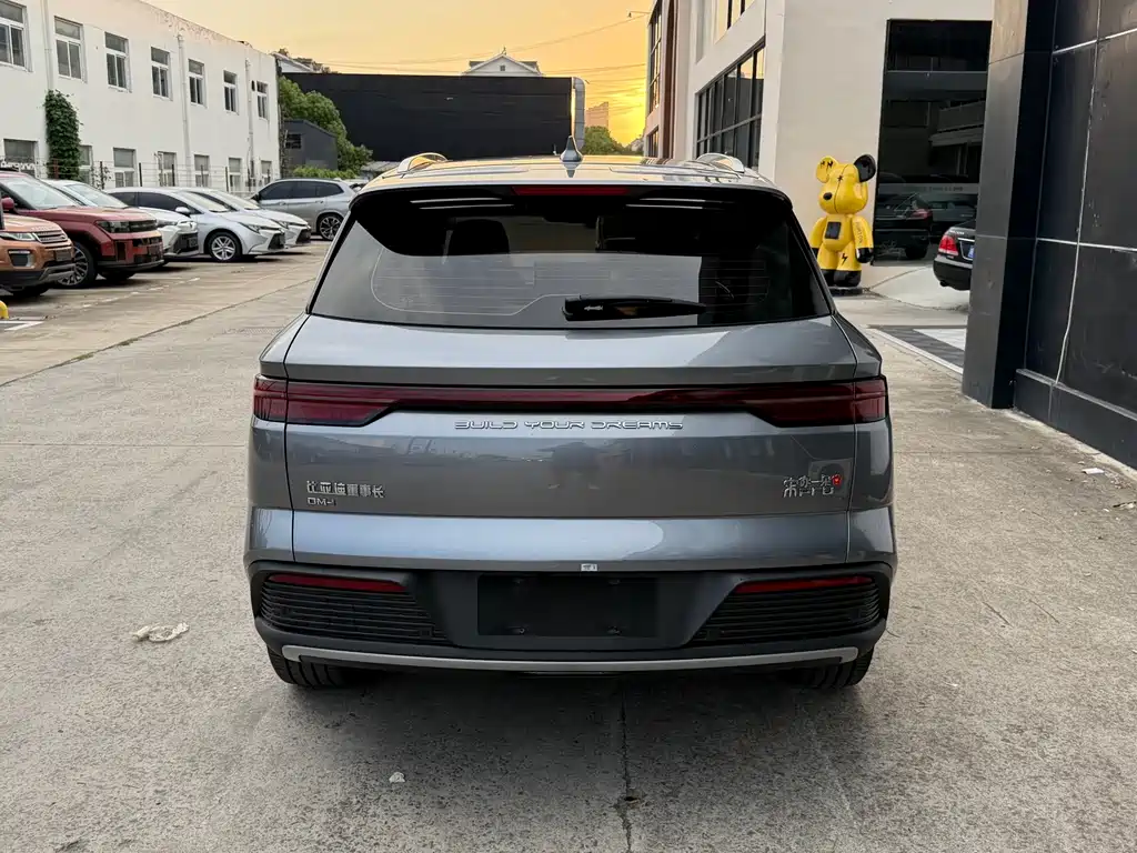 BYD Pro New Energy — миниатюра 15