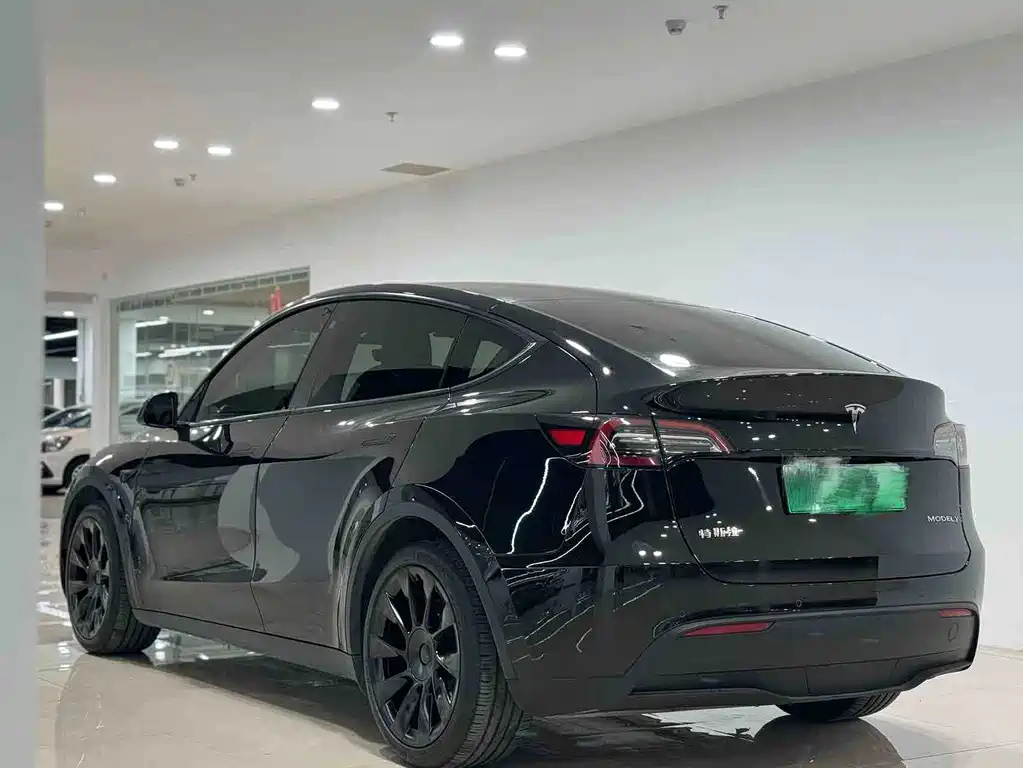 Tesla Model Y — миниатюра 5