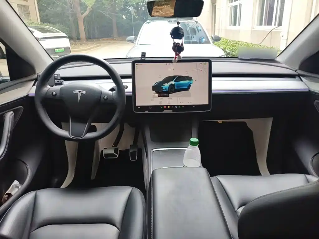 Tesla Model Y — миниатюра 10