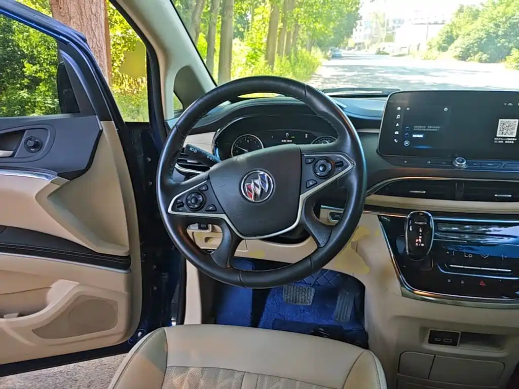 Buick GL8 — миниатюра 11