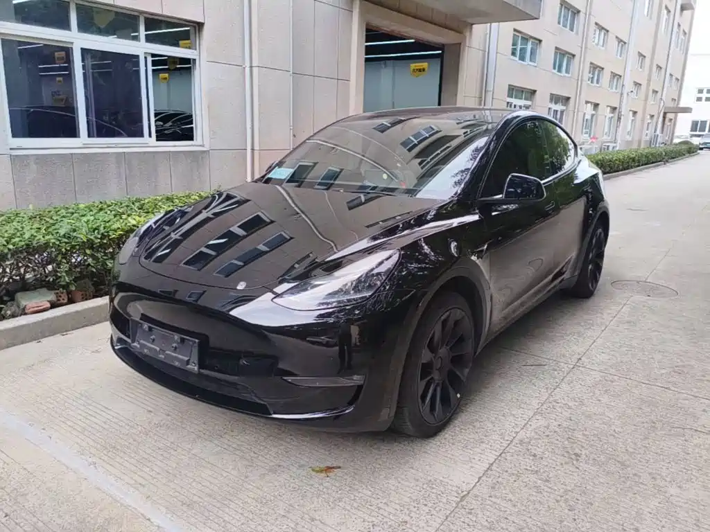 Tesla Model Y — миниатюра 2