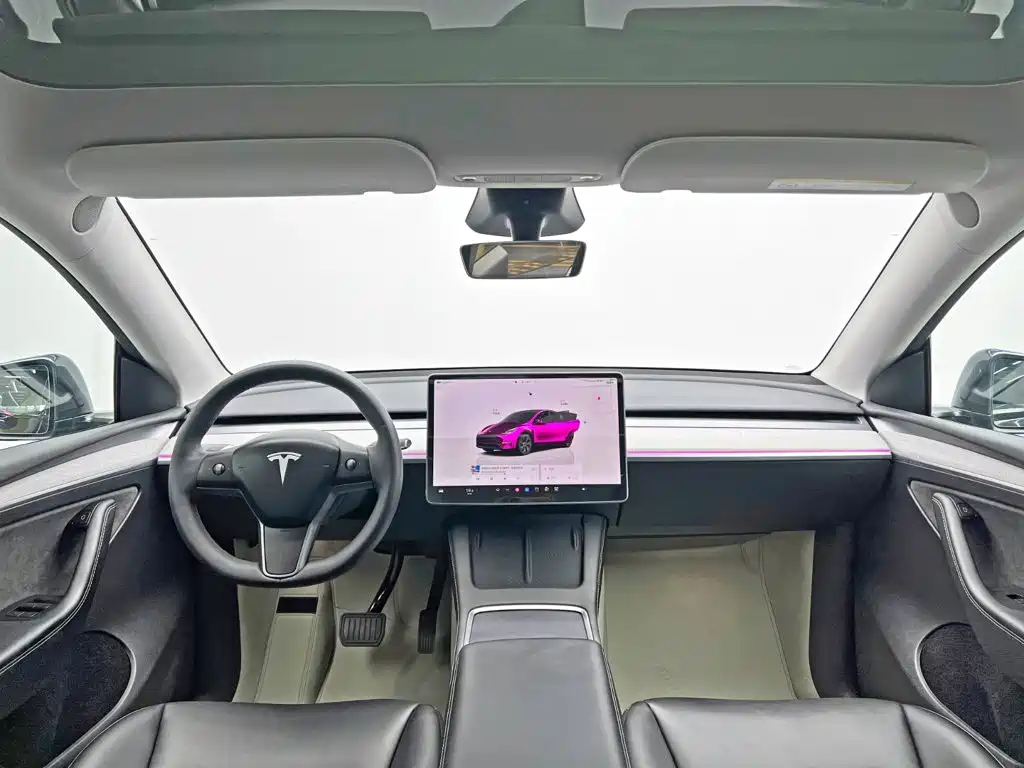 Tesla Model Y — миниатюра 22