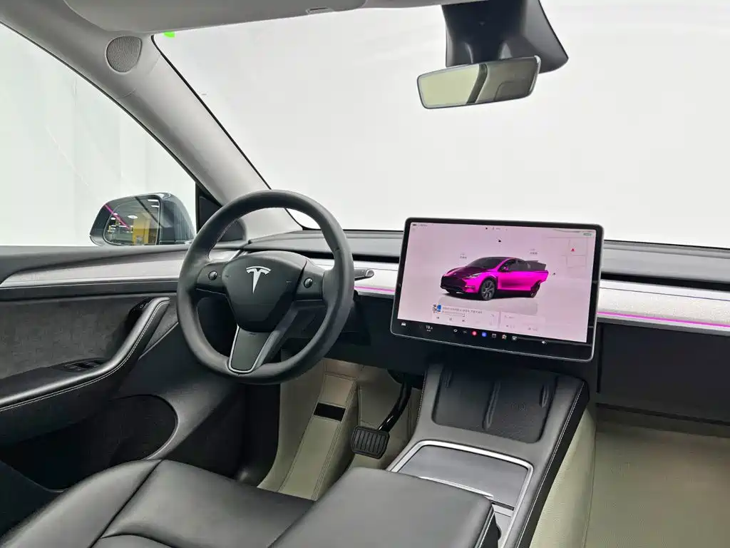 Tesla Model Y — миниатюра 23