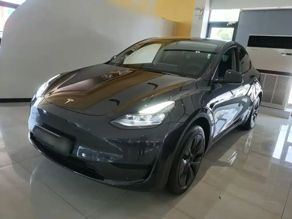 Tesla Model Y — миниатюра 2