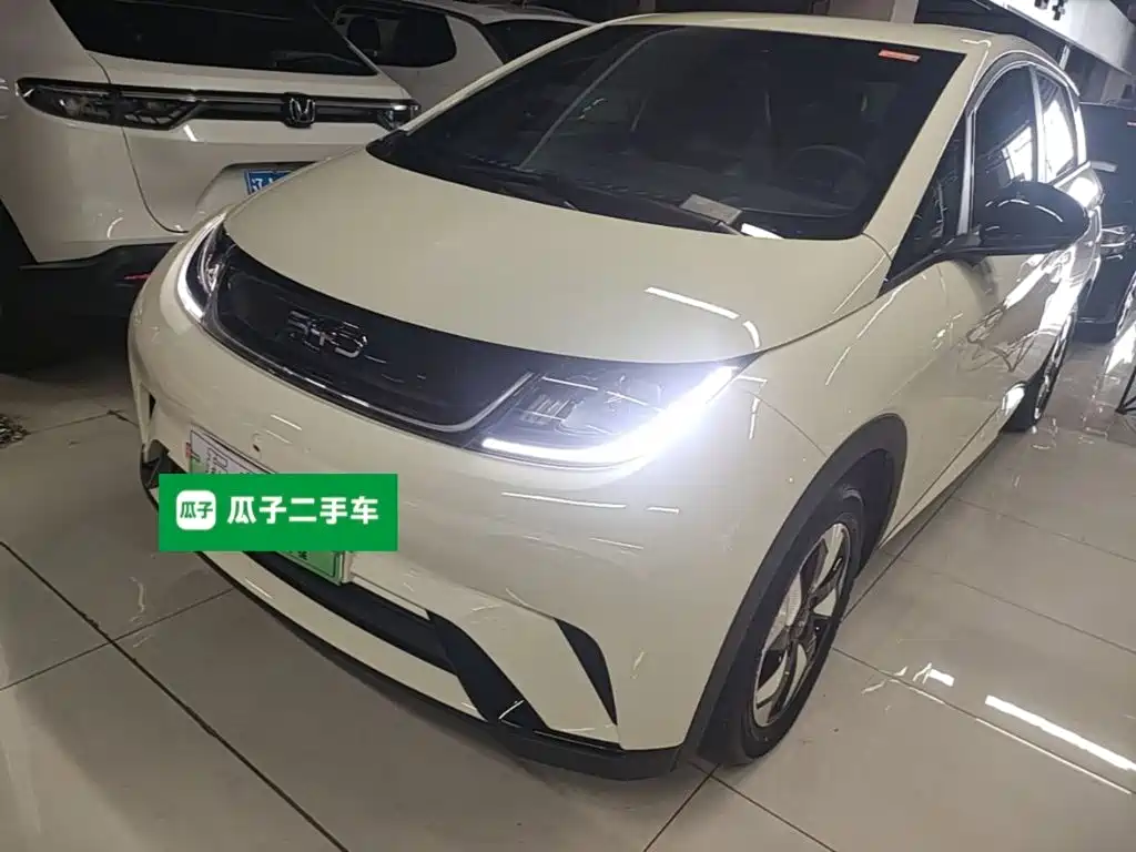 BYD Dolphin — миниатюра 2