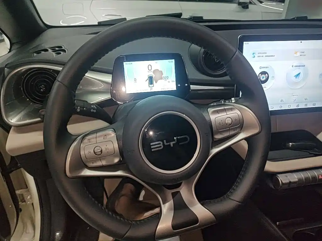 BYD Dolphin — миниатюра 11