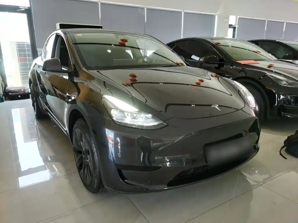 Tesla Model Y — миниатюра 4