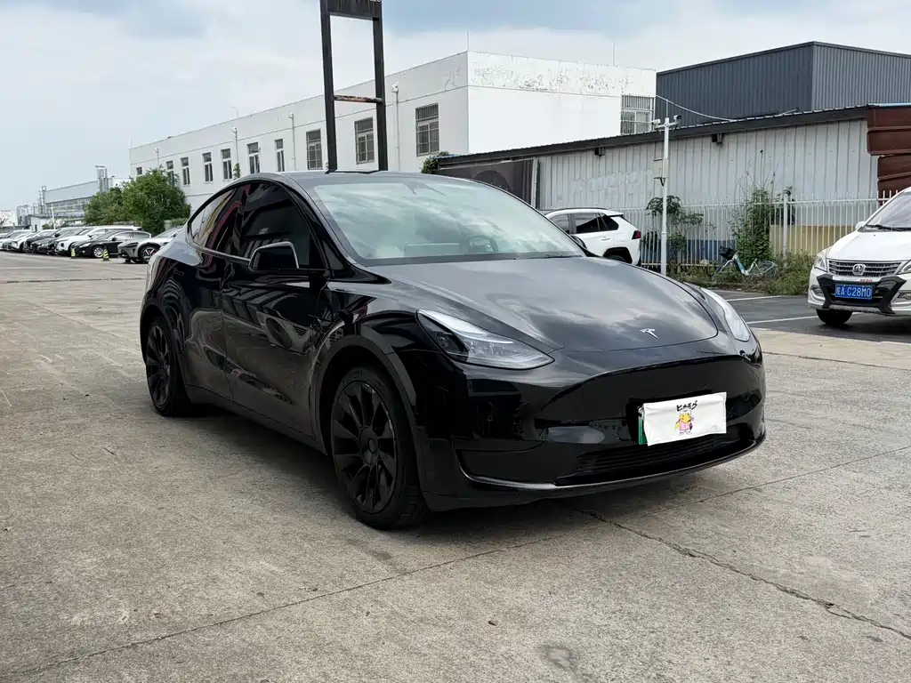 Tesla Model Y — миниатюра 3