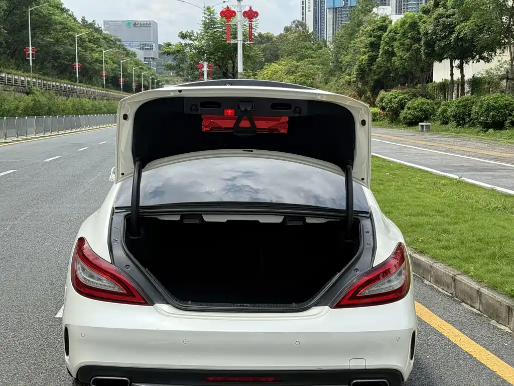 Mercedes-Benz CLS — миниатюра 8