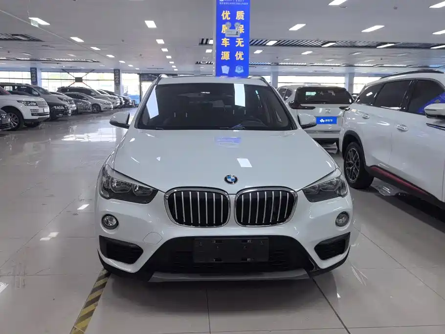 BMW X1 — миниатюра 2