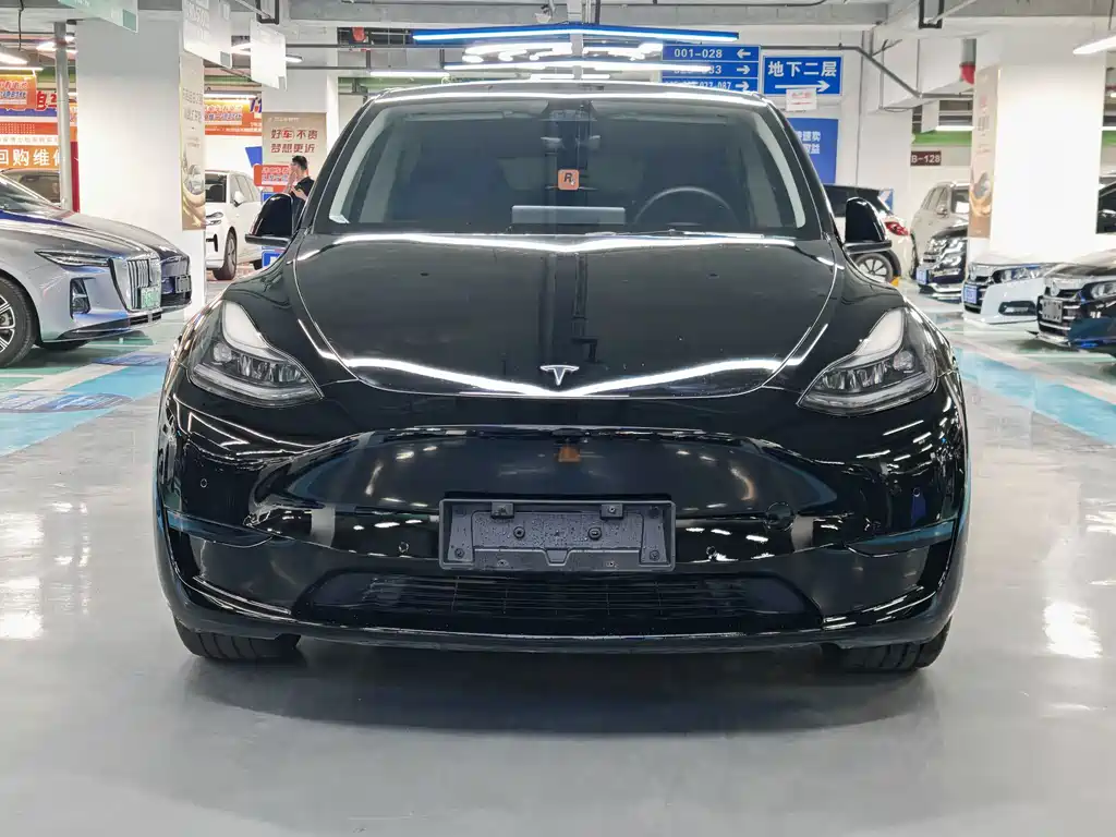 Tesla Model Y — миниатюра 2