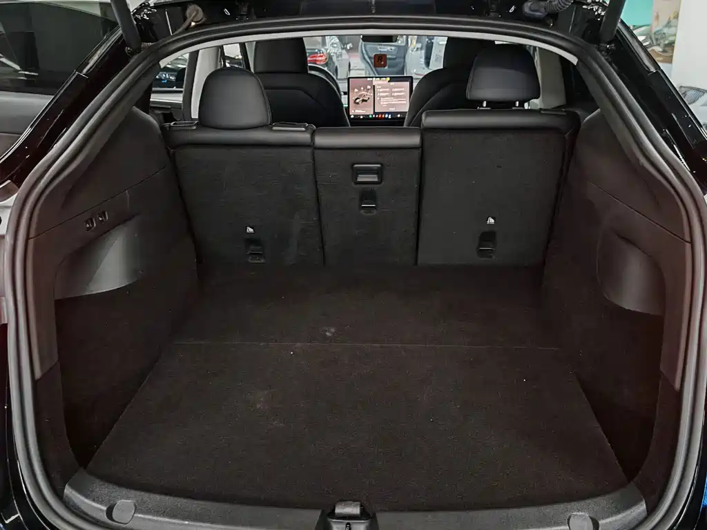 Tesla Model Y — миниатюра 5
