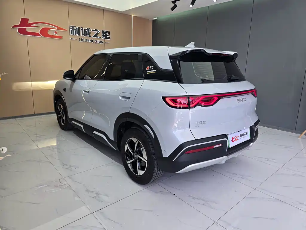 BYD Yuan Up UP 2025 Smart Drive 401KM Lead