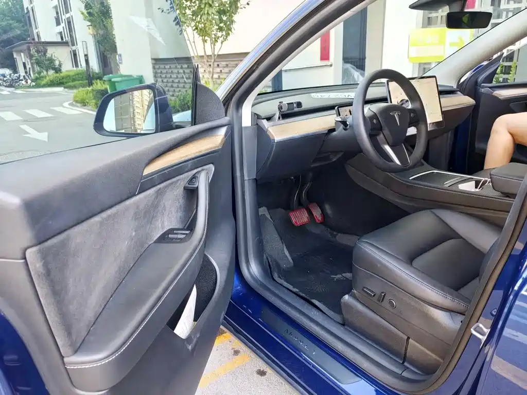 Tesla Model Y — миниатюра 9