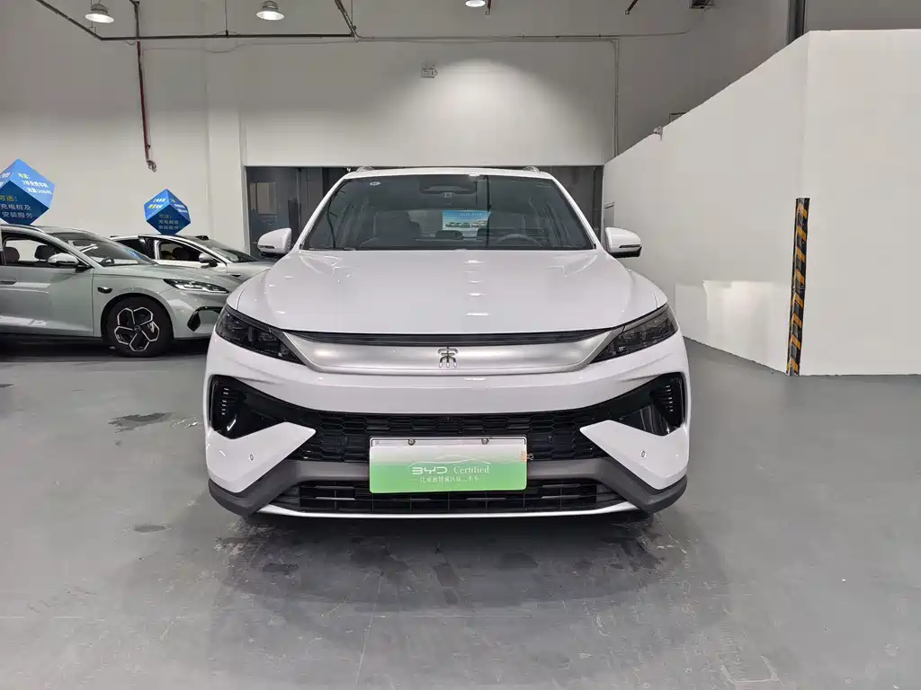 BYD Pro New Energy — миниатюра 2