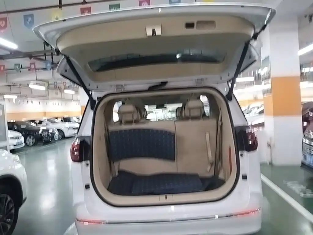 Buick GL8 — миниатюра 19