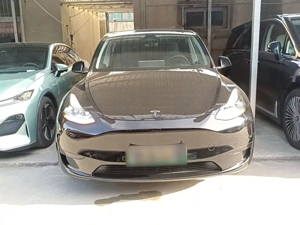 Tesla Model Y — миниатюра 3