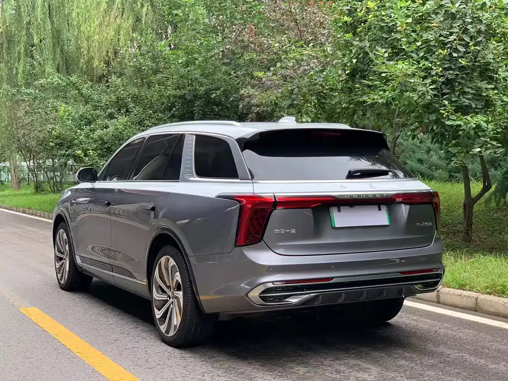 Hongqi Hongqi E-HS9 — миниатюра 5