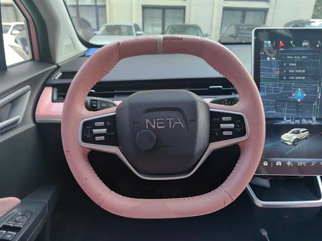 Neta V