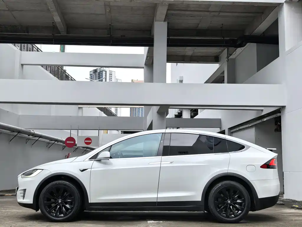 Tesla Model X 2017 Model X 100D