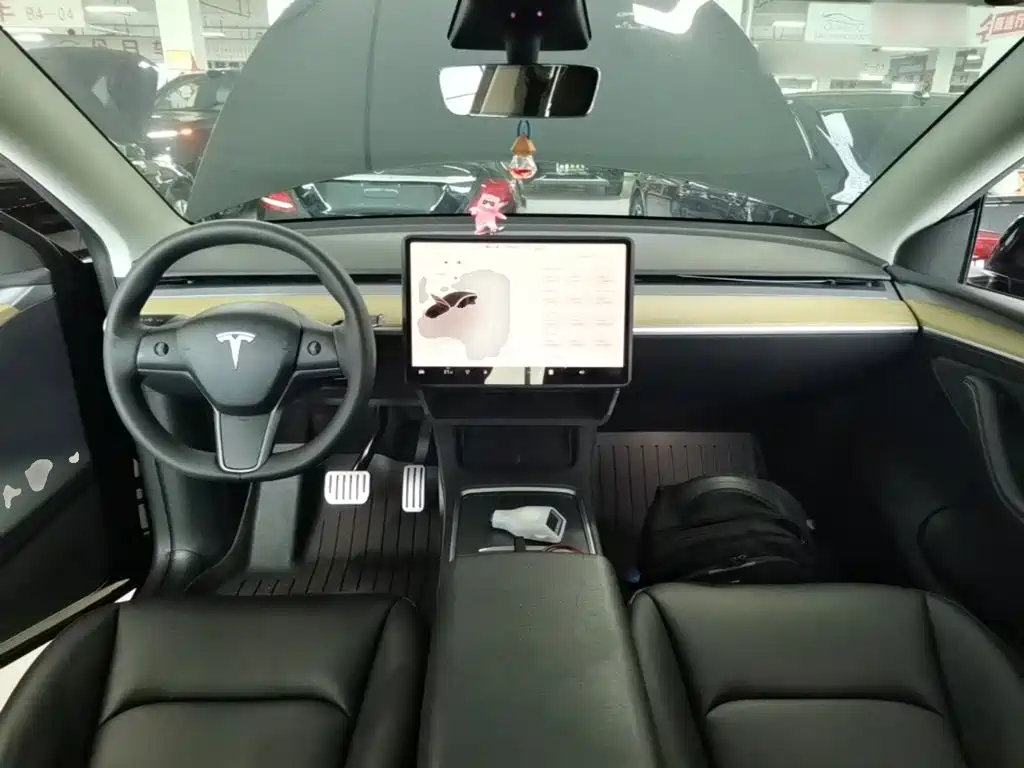 Tesla Model Y — миниатюра 10