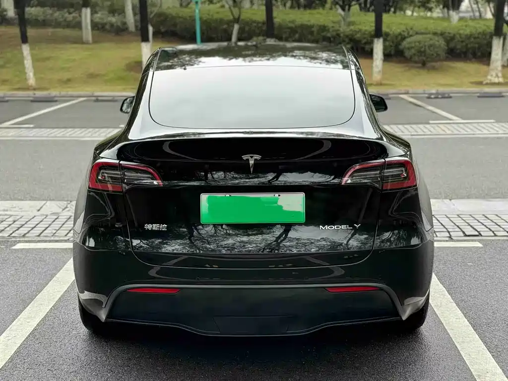 Tesla Model Y — миниатюра 8