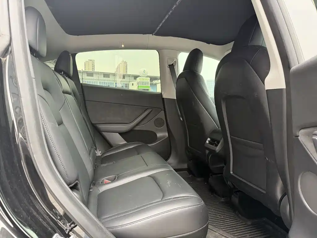 Tesla Model Y — миниатюра 11