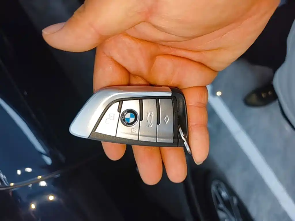 BMW X5 — миниатюра 9